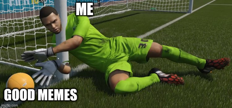 Bugs |  ME; GOOD MEMES | image tagged in fifa | made w/ Imgflip meme maker