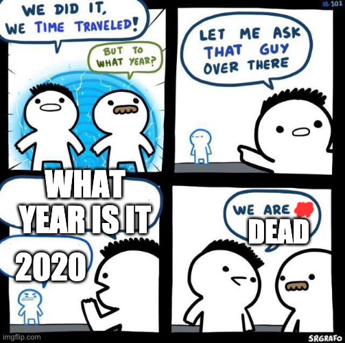 We did it we time traveled | WHAT YEAR IS IT; DEAD; 2020 | image tagged in we did it we time traveled | made w/ Imgflip meme maker