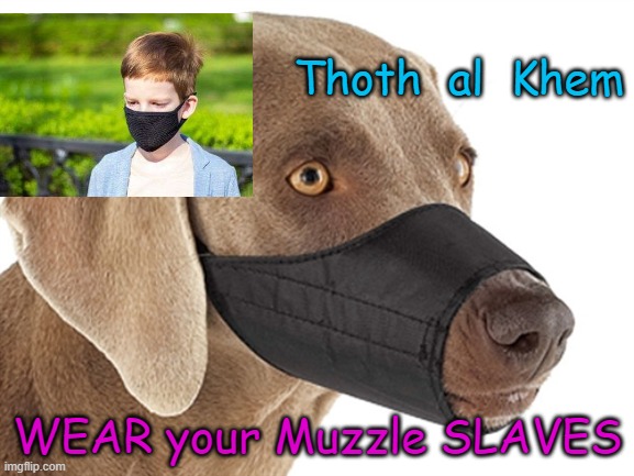  Thoth  al  Khem; WEAR your Muzzle SLAVES | image tagged in coronavirus,coronahoax,martial law,hatestupidpeople,coronavirushoax | made w/ Imgflip meme maker