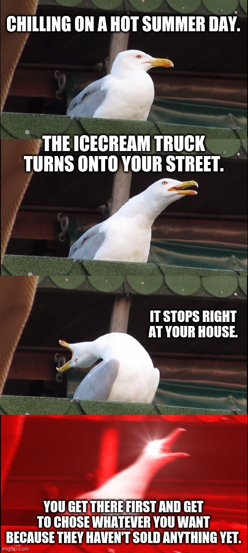 Inhaling Seagull Meme | CHILLING ON A HOT SUMMER DAY. THE ICECREAM TRUCK TURNS ONTO YOUR STREET. IT STOPS RIGHT AT YOUR HOUSE. YOU GET THERE FIRST AND GET TO CHOSE WHATEVER YOU WANT BECAUSE THEY HAVEN'T SOLD ANYTHING YET. | image tagged in memes,inhaling seagull | made w/ Imgflip meme maker