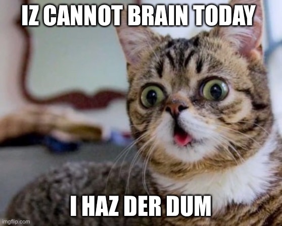 Derpy cat | IZ CANNOT BRAIN TODAY; I HAZ DER DUM | image tagged in derpy cat | made w/ Imgflip meme maker