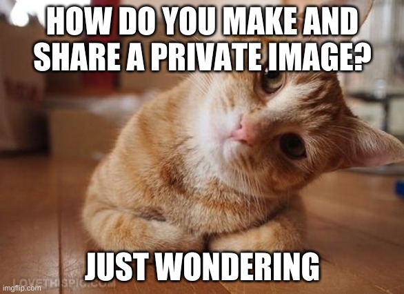 I don't want to embarass myself later on... | HOW DO YOU MAKE AND SHARE A PRIVATE IMAGE? JUST WONDERING | image tagged in curious question cat | made w/ Imgflip meme maker