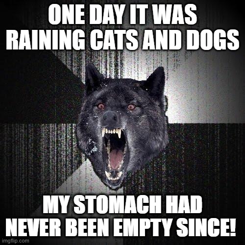 Gut loading wolf | ONE DAY IT WAS RAINING CATS AND DOGS; MY STOMACH HAD NEVER BEEN EMPTY SINCE! | image tagged in memes,insanity wolf | made w/ Imgflip meme maker