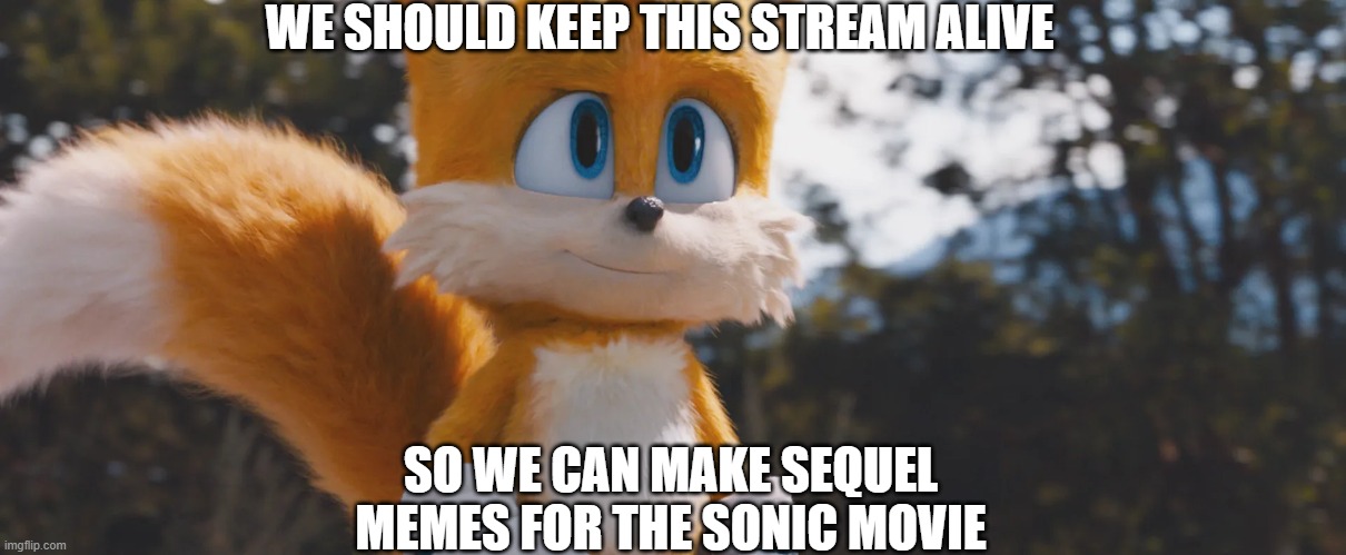 if there is a sequel.... |  WE SHOULD KEEP THIS STREAM ALIVE; SO WE CAN MAKE SEQUEL MEMES FOR THE SONIC MOVIE | image tagged in sonic the hedgehog,sonic movie | made w/ Imgflip meme maker