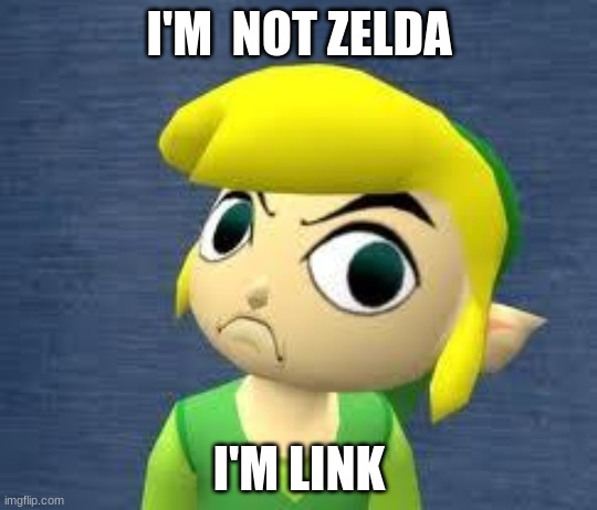 zelda link Memes & GIFs - Imgflip