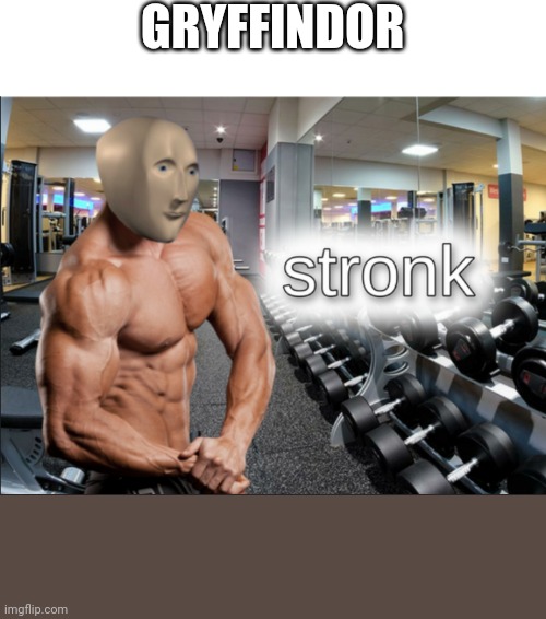 stronks | GRYFFINDOR | image tagged in stronks | made w/ Imgflip meme maker