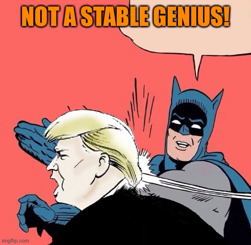 NOT A STABLE GENIUS! | made w/ Imgflip meme maker