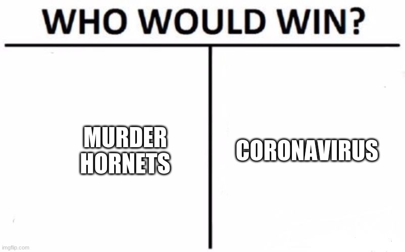 add title | MURDER HORNETS; CORONAVIRUS | image tagged in memes,who would win | made w/ Imgflip meme maker