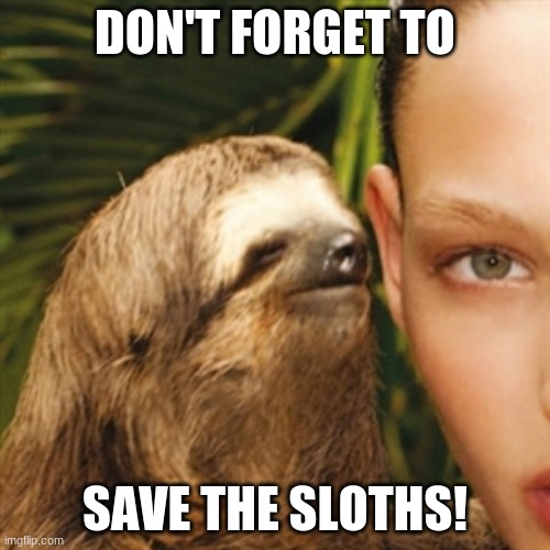 Whisper Sloth Meme | DON'T FORGET TO; SAVE THE SLOTHS! | image tagged in memes,whisper sloth | made w/ Imgflip meme maker