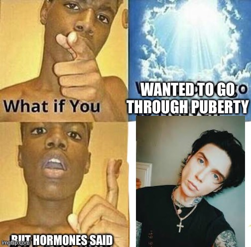 Crushes be like: | WANTED TO GO THROUGH PUBERTY; BUT HORMONES SAID | image tagged in what if you wanted to go to heaven,puberty,funny memes | made w/ Imgflip meme maker