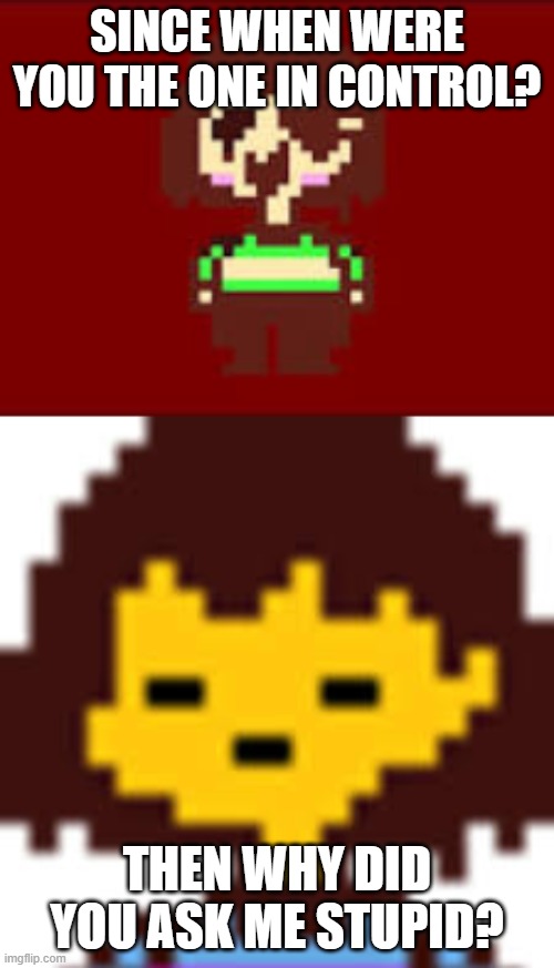 frisk and chara meme | SINCE WHEN WERE YOU THE ONE IN CONTROL? THEN WHY DID YOU ASK ME STUPID? | image tagged in memes | made w/ Imgflip meme maker