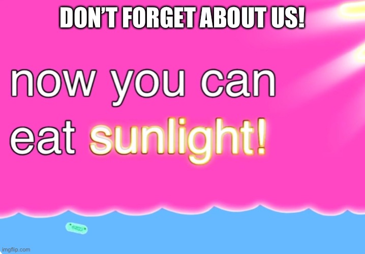 Now You Can Eat Sunlight | DON’T FORGET ABOUT US! | image tagged in now you can eat sunlight | made w/ Imgflip meme maker