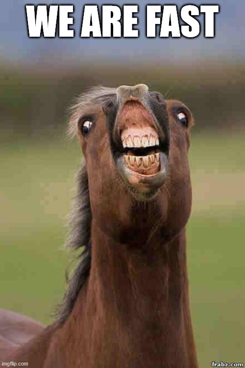 horse face | WE ARE FAST | image tagged in horse face | made w/ Imgflip meme maker