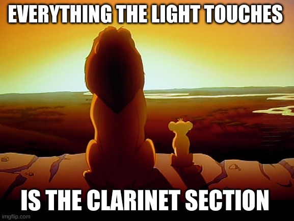 Lion King Meme | EVERYTHING THE LIGHT TOUCHES; IS THE CLARINET SECTION | image tagged in memes,lion king | made w/ Imgflip meme maker