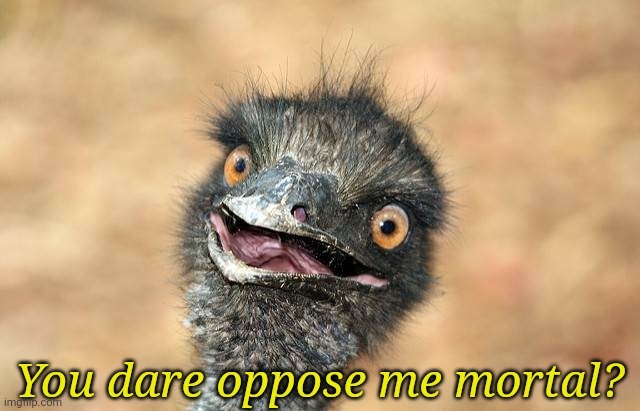 Emu you dare oppose me mortal? | image tagged in emu you dare oppose me mortal | made w/ Imgflip meme maker