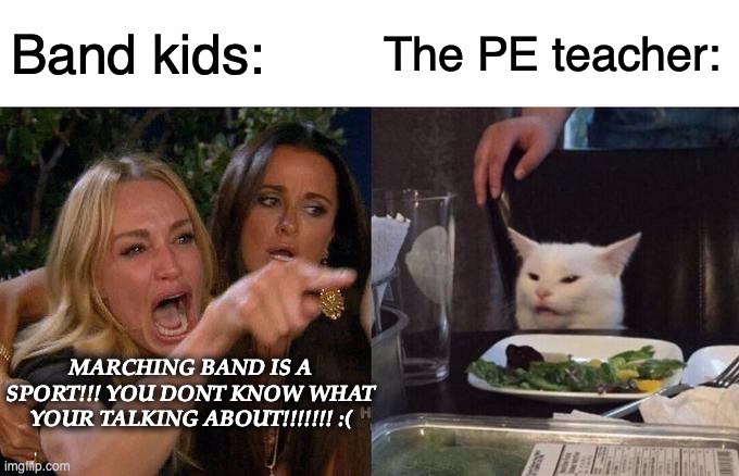 band kids be like: | Band kids:; The PE teacher:; MARCHING BAND IS A SPORT!!! YOU DONT KNOW WHAT YOUR TALKING ABOUT!!!!!!! :( | image tagged in memes,woman yelling at cat | made w/ Imgflip meme maker