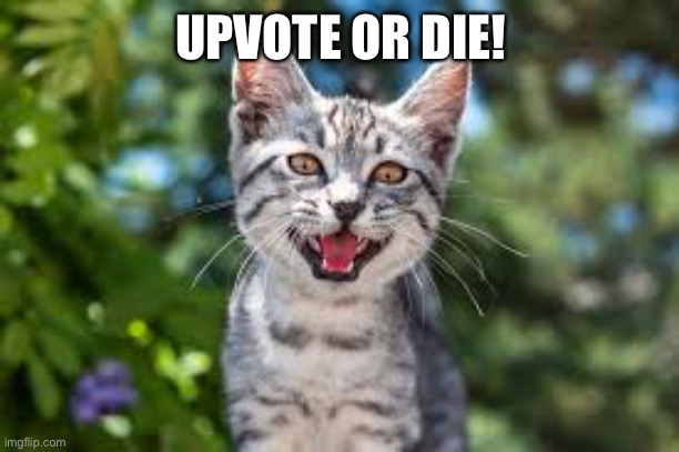 Creepy Cat | UPVOTE OR DIE! | image tagged in creepy cat,memes,upvote begging | made w/ Imgflip meme maker