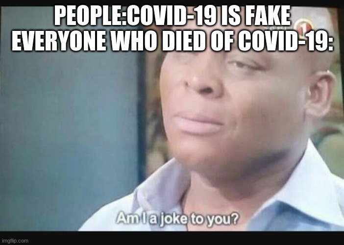 Covid-19 | PEOPLE:COVID-19 IS FAKE

EVERYONE WHO DIED OF COVID-19: | image tagged in am i a joke to you | made w/ Imgflip meme maker