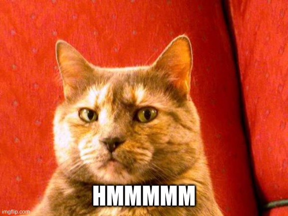 Suspicious Cat Meme | HMMMMM | image tagged in memes,suspicious cat | made w/ Imgflip meme maker