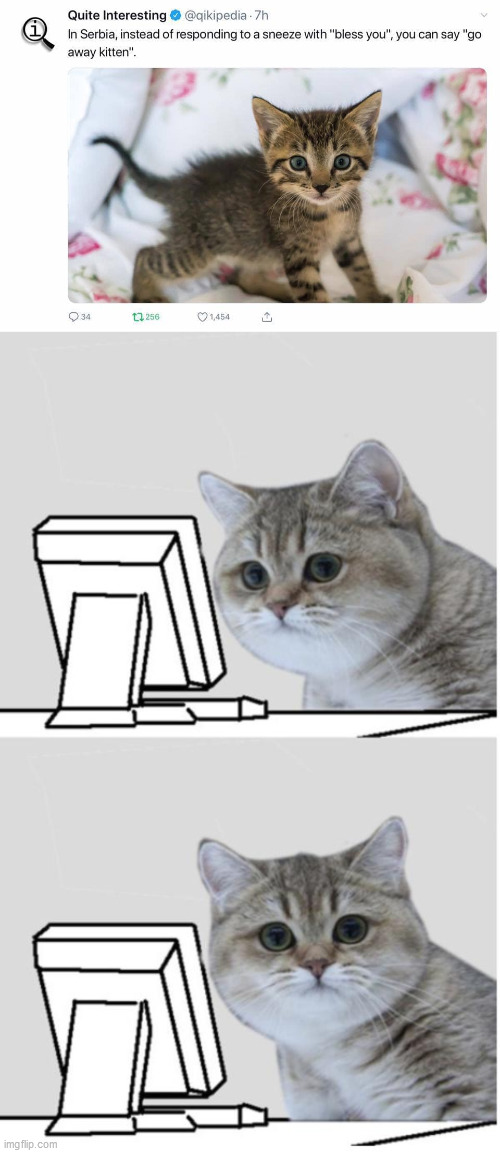 image tagged in monitor cat,sneeze | made w/ Imgflip meme maker