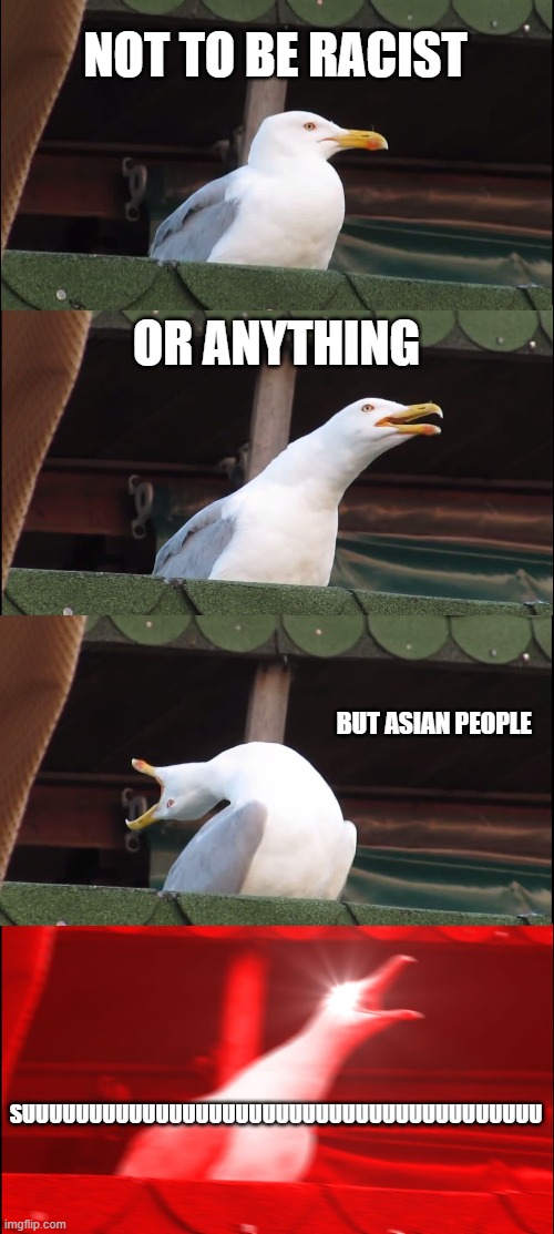 An old but good meme | NOT TO BE RACIST; OR ANYTHING; BUT ASIAN PEOPLE; SUUUUUUUUUUUUUUUUUUUUUUUUUUUUUUUUUUUUUUU | image tagged in memes,inhaling seagull | made w/ Imgflip meme maker