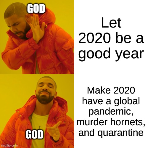 ugh | Let 2020 be a good year; GOD; Make 2020 have a global pandemic, murder hornets, and quarantine; GOD | image tagged in memes,drake hotline bling | made w/ Imgflip meme maker