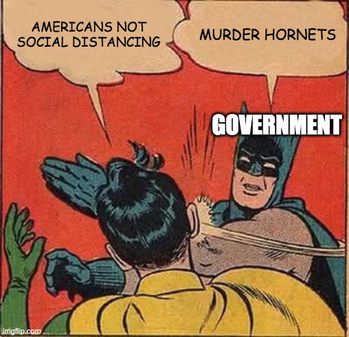Batman Slapping Robin Meme | AMERICANS NOT SOCIAL DISTANCING; MURDER HORNETS; GOVERNMENT | image tagged in memes,batman slapping robin | made w/ Imgflip meme maker