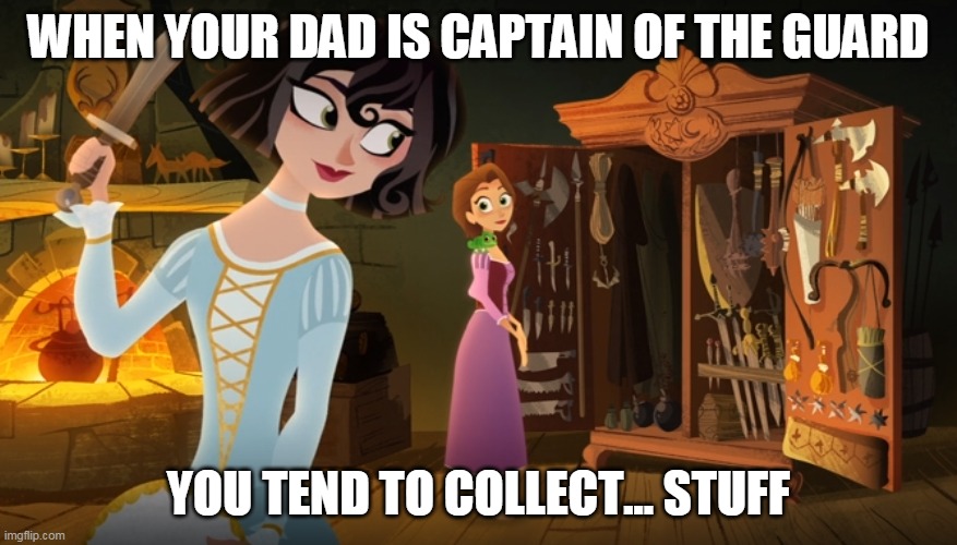Cassandra's Closet | WHEN YOUR DAD IS CAPTAIN OF THE GUARD; YOU TEND TO COLLECT... STUFF | image tagged in tangled | made w/ Imgflip meme maker