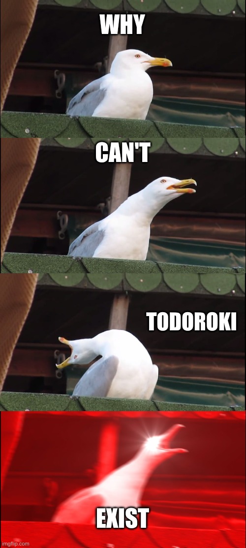 Im crying | WHY; CAN'T; TODOROKI; EXIST | image tagged in memes,inhaling seagull | made w/ Imgflip meme maker