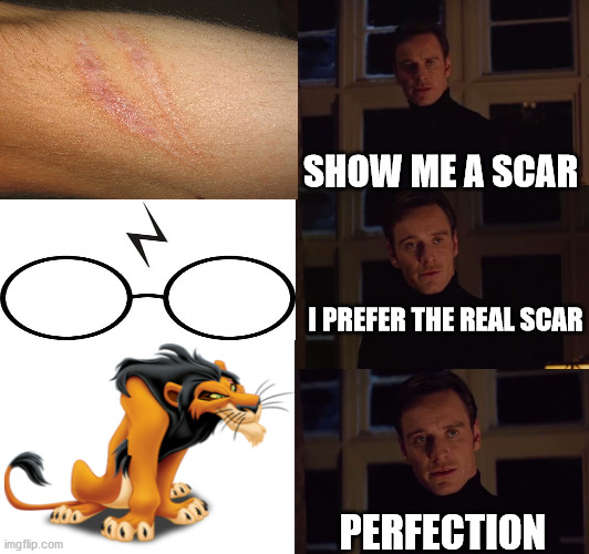 perfection | SHOW ME A SCAR; I PREFER THE REAL SCAR; PERFECTION | image tagged in perfection,harry potter,lion king | made w/ Imgflip meme maker
