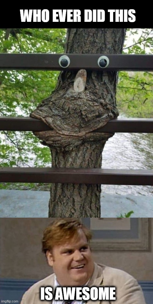 awesome | WHO EVER DID THIS; IS AWESOME | image tagged in chris farley awesome,tree | made w/ Imgflip meme maker
