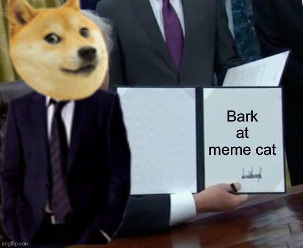 Bark at meme cat | made w/ Imgflip meme maker
