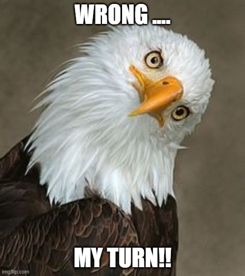 bald eagle tilt | WRONG .... MY TURN!! | image tagged in bald eagle tilt | made w/ Imgflip meme maker