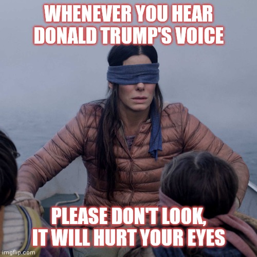 Bird Box Meme | WHENEVER YOU HEAR DONALD TRUMP'S VOICE; PLEASE DON'T LOOK, IT WILL HURT YOUR EYES | image tagged in memes,bird box,donald trump,my eyes | made w/ Imgflip meme maker