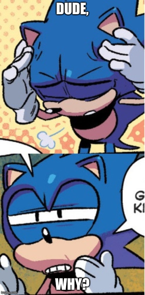 sonic boi | DUDE, WHY? | image tagged in sonic boi | made w/ Imgflip meme maker