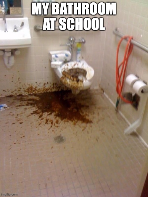 my school bathroom | MY BATHROOM AT SCHOOL | image tagged in school | made w/ Imgflip meme maker