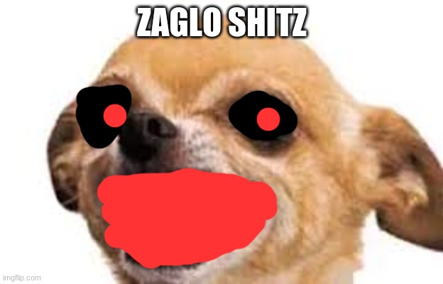 ZAGLO SHITZ | image tagged in mad dog | made w/ Imgflip meme maker