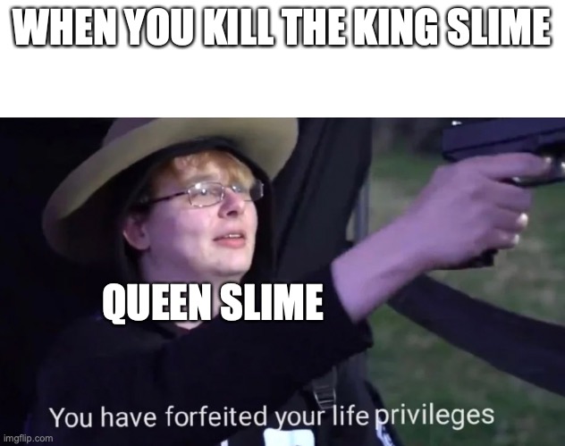 you have forfeited life privileges | WHEN YOU KILL THE KING SLIME; QUEEN SLIME | image tagged in you have forfeited life privileges | made w/ Imgflip meme maker