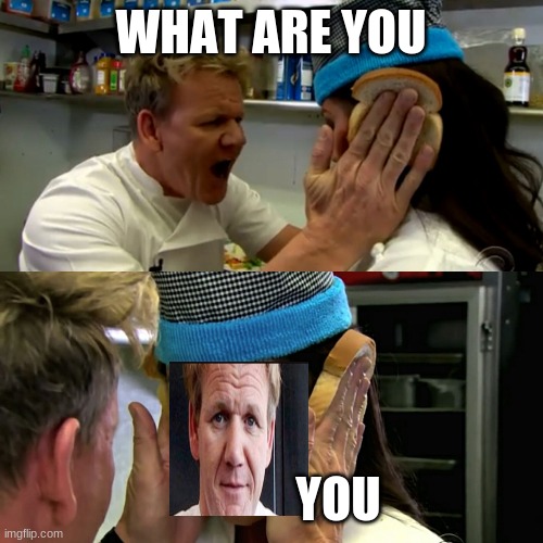 WHAT ARE YOU YOU | image tagged in gordan ramsay idiot sandwich | made w/ Imgflip meme maker