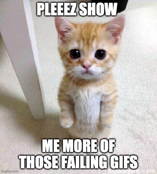 Cute Cat Meme | PLEEEZ SHOW ME MORE OF THOSE FAILING GIFS | image tagged in memes,cute cat | made w/ Imgflip meme maker