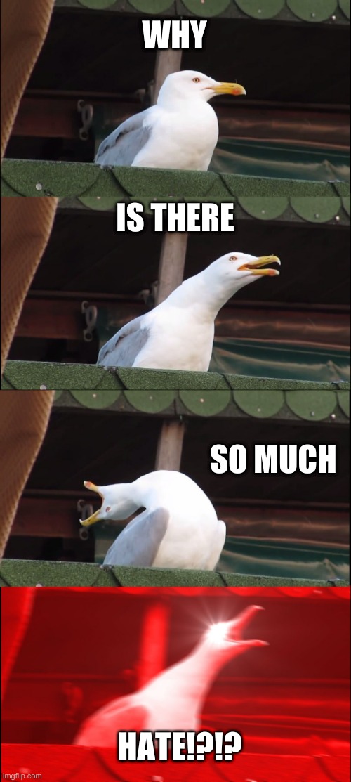 Inhaling Seagull Meme | WHY; IS THERE; SO MUCH; HATE!?!? | image tagged in memes,inhaling seagull | made w/ Imgflip meme maker