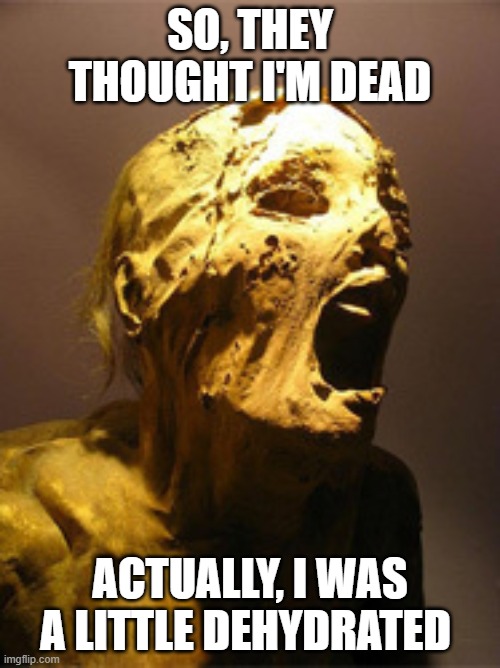 a little dehydrated | SO, THEY THOUGHT I'M DEAD; ACTUALLY, I WAS A LITTLE DEHYDRATED | image tagged in the mummy | made w/ Imgflip meme maker