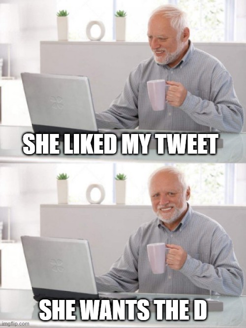 Old guy pc | SHE LIKED MY TWEET; SHE WANTS THE D | image tagged in old guy pc | made w/ Imgflip meme maker