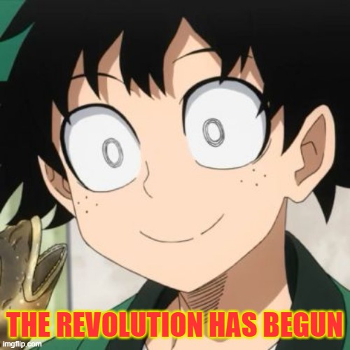 Triggered Deku | THE REVOLUTION HAS BEGUN | image tagged in triggered deku | made w/ Imgflip meme maker