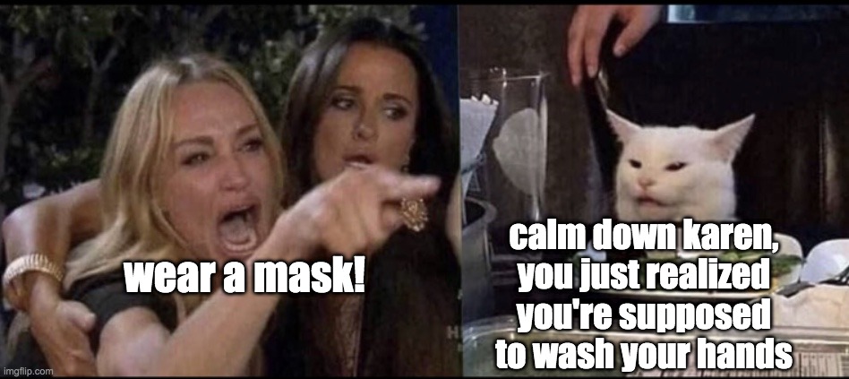 Mask wearing karen | calm down karen, you just realized you're supposed to wash your hands; wear a mask! | image tagged in karen carpenter and smudge cat | made w/ Imgflip meme maker