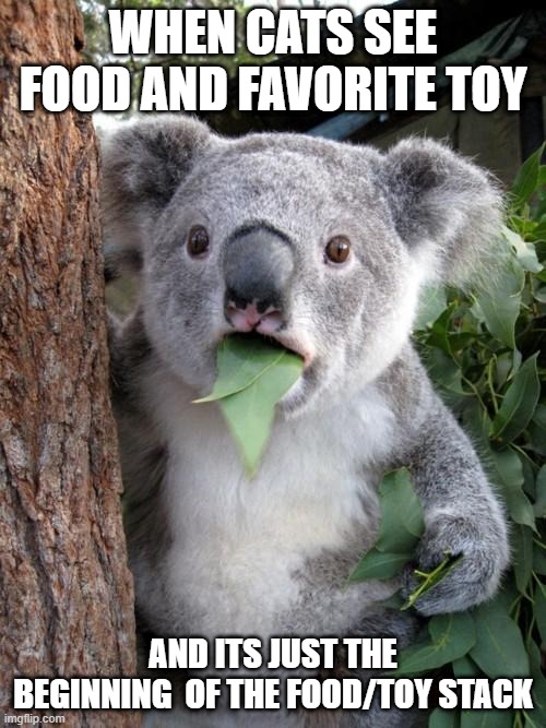 Cats and food | WHEN CATS SEE FOOD AND FAVORITE TOY; AND ITS JUST THE BEGINNING  OF THE FOOD/TOY STACK | image tagged in memes,surprised koala | made w/ Imgflip meme maker