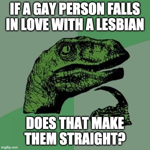 Is it Straight? | IF A GAY PERSON FALLS IN LOVE WITH A LESBIAN; DOES THAT MAKE THEM STRAIGHT? | image tagged in memes,philosoraptor | made w/ Imgflip meme maker