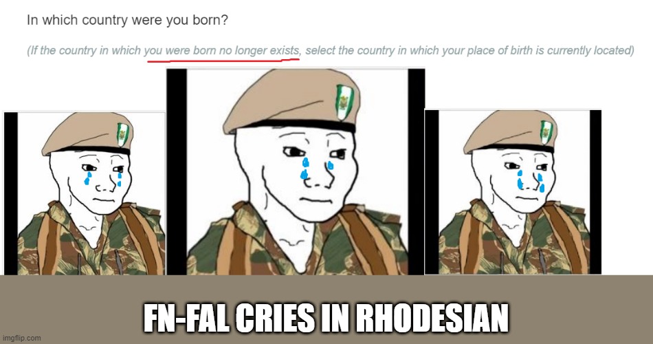 No longer existing countries | FN-FAL CRIES IN RHODESIAN | image tagged in funny,historical meme,political meme | made w/ Imgflip meme maker