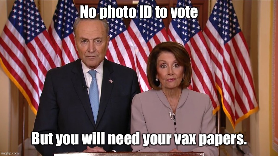 Chuck and Nancy | No photo ID to vote But you will need your vax papers. | image tagged in chuck and nancy | made w/ Imgflip meme maker