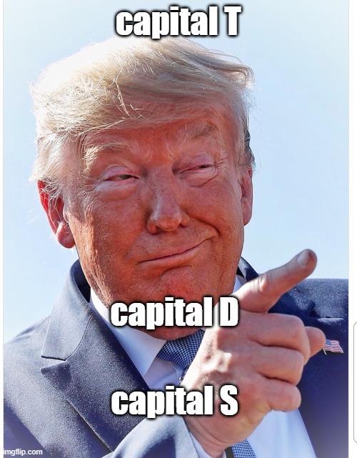 Trump pointing | capital T capital D capital S | image tagged in trump pointing | made w/ Imgflip meme maker